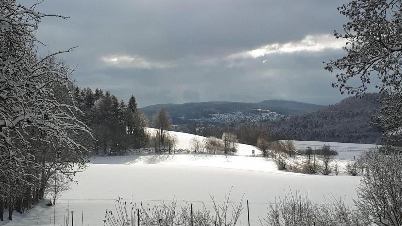 Ferienwohnung Mies Waldkirchen Eksteriør bilde